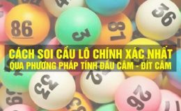 Thông tin và phương pháp soi đề từ đầu lô câm hay về